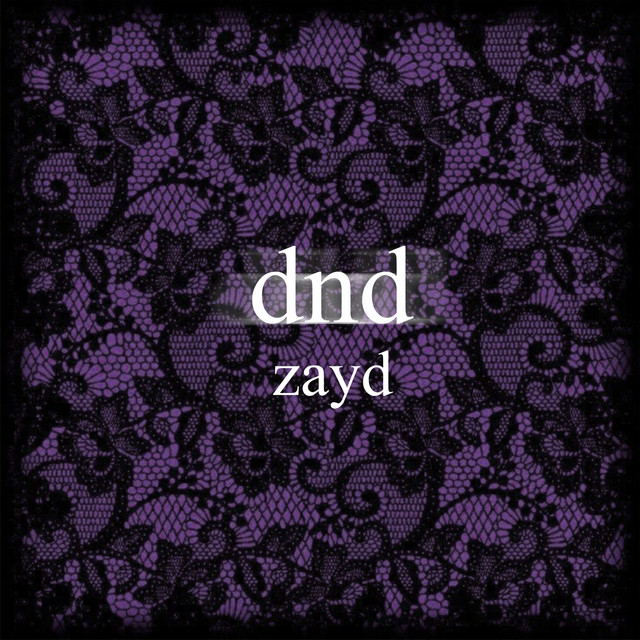 zayd. - dnd cover
